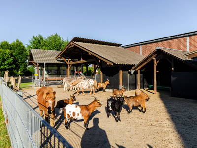 Bild 19 aus  Poenenhof