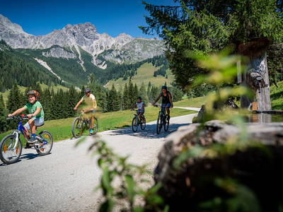 Bild 24 aus  Mittersteghof