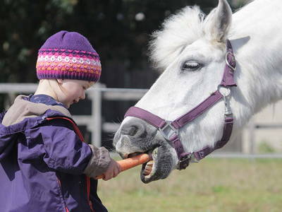 Bild 12 aus  Ferienbauernhof