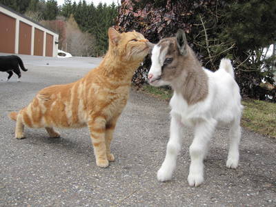 Bild 18 aus  Landhaus Rombach