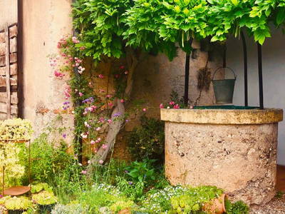 Bild 5 aus  Bauerhofurlaub zwischen den Touristenattraktionen Gardasee, Verona und Mantua