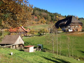 Rinkenbachhof aus Schenkenzell