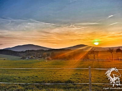 Bild 7 aus  Gut Friedenthal