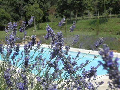 Bild 85 aus  Casa Bivignano