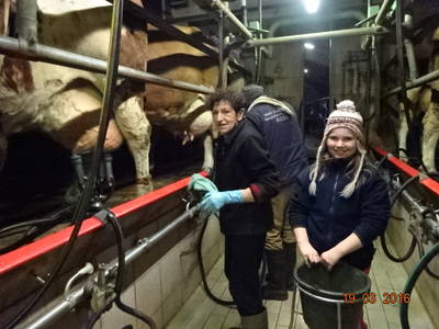 Bild 30 aus  Mayerhof