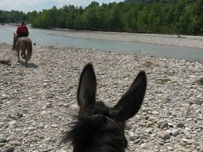 Bild 75 aus  Casa Bivignano