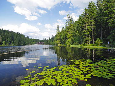 Bild 8 aus  Ferien im Landhaus  Killinger