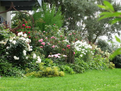 Bild 38 aus  Ferienhof "Familie Groh"