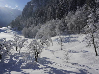 Bild 26 aus  Leuhaus