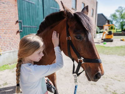 Bild 19 aus  Familienparadies auf Fehmarn - Bauernhofurlaub mit Tieren, viel Platz zum Spielen & Ostseenähe