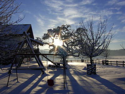 Bild 5 aus  Ferienhof Käser