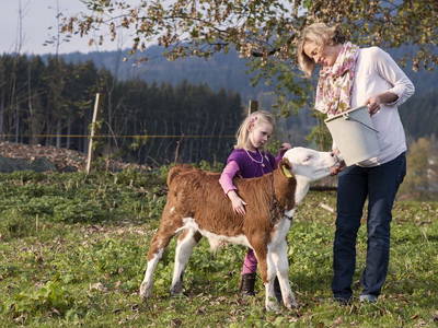 Bild 7 aus  Weissenhof-Inzell