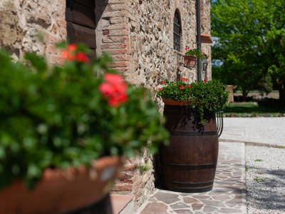 Bild 17 aus  Tenuta Il Cicalino