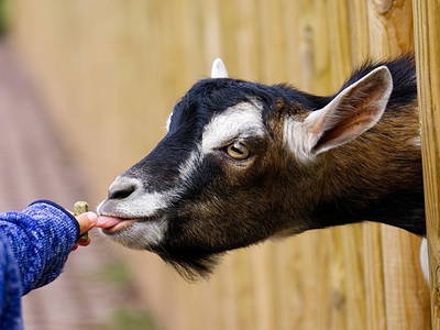 Bild 16 aus  Residence Garni Melcherhof