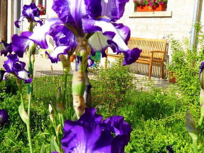 Bild 41 aus  Hellbachhof