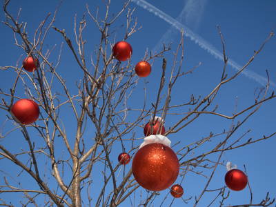 Bild 23 aus  Schloss Gravetsch