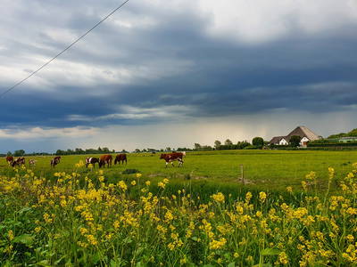 Bild 18 aus  Ferienhof   Witte Haubarg                -  2025 Beliebtester Ferienhof für Familienurlaub