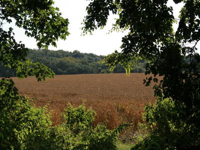 Bild 9 aus  Quellenhof