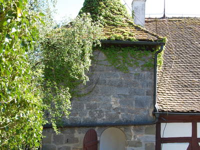 Bild 4 aus  Die Tannenburg