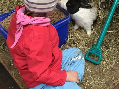 Bild 3 aus  Ferienhof Kreutzer