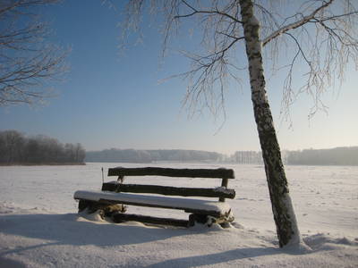 Bild 25 aus  Schloss Neuhausen