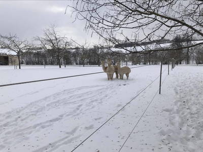 Bild 20 aus  Weihersmühle