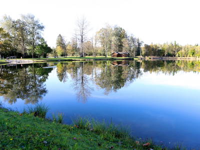 Bild 24 aus  Springerhof