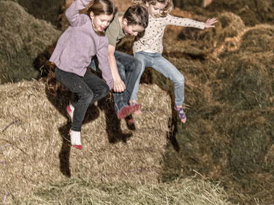 Bild 18 aus  Zillertaler Hofchalets