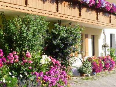 Bild 12 aus  Huberhof Riedering