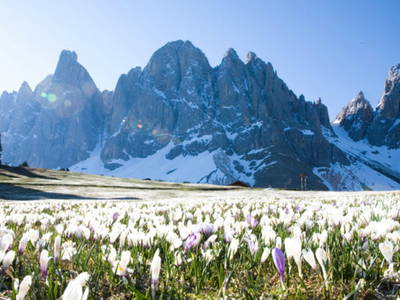 Bild 29 aus  Oberpiskoihof, Auszeit in den Südtiroler Dolomiten
