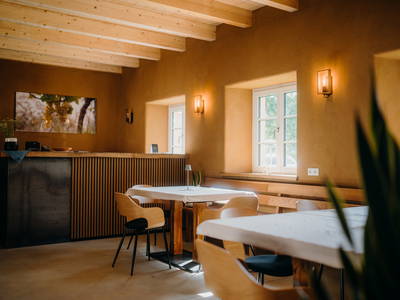 Bild 14 aus  Monschein Weingut Straden