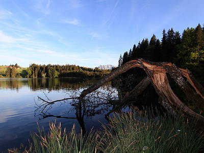 Bild 12 aus  Landhaus Wildschütz