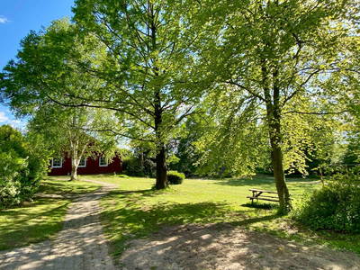 Bild 80 aus  Ferienhof Messer  Bauernhofurlaub  Ostseenähe  Ponys