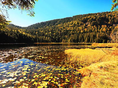 Bild 34 aus  Paulas Bauernhof im Bayerischen Wald