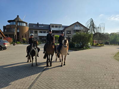 Bild 4 aus  Ferienwohnungen Seehof Reuter