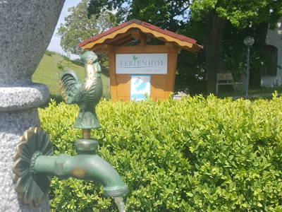 Bild 13 aus  Ferienhof Scharl