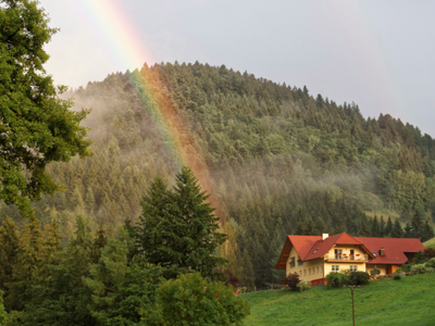 Bild 5 aus  Bierpeterhof