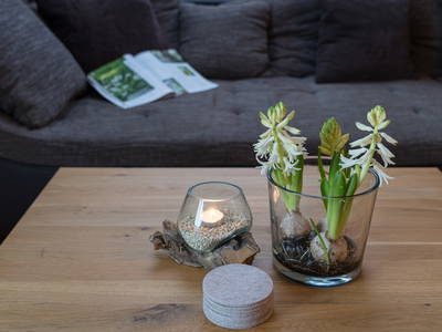 Bild 25 aus  Am Holderbusch