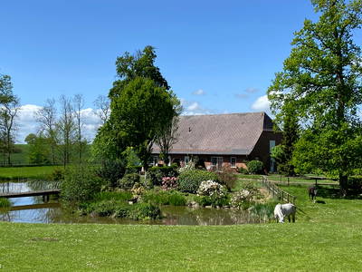 Bild 2 aus  Gut Büchenau  -  Auszeit für Erholungsuchende & Naturliebhaber