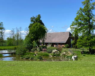 Gut Büchenau  -  Auszeit für Erholungsuchende & Naturliebhaber aus Rieseby
