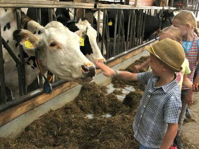 Bild 13 aus  Berges Glück