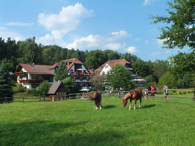 Bild 44 aus  Hotel Gasthof Sieberzmühle