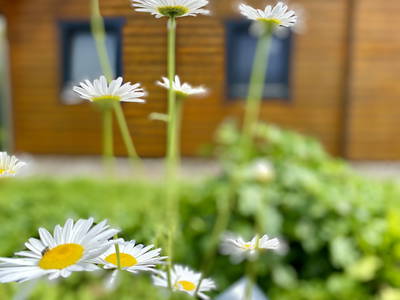 Bild 4 aus  Ferienhof Morich Harz