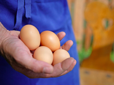 Bild 15 aus  Moserhof