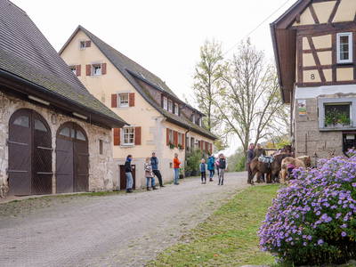Bild 4 aus  Hof in Liebesdorf