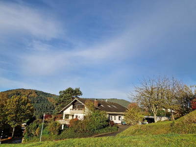 Bild 19 aus  Villa Schwarzwaldblick