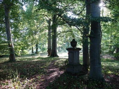 Bild 53 aus  FerienGut Dalwitz     www.feriengutdalwitz.de