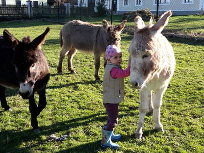 Lisa, Seppl und Moritz