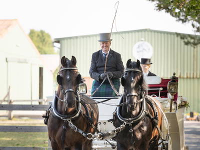 Bild 10 aus  Ferienhof Frieslandstern