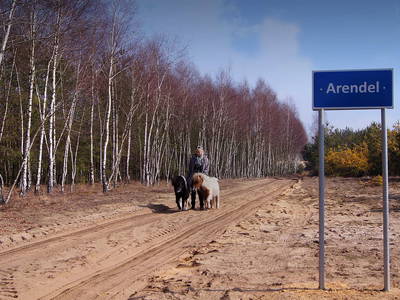 Bild 20 aus  Arendel - Das norwegische Dorf